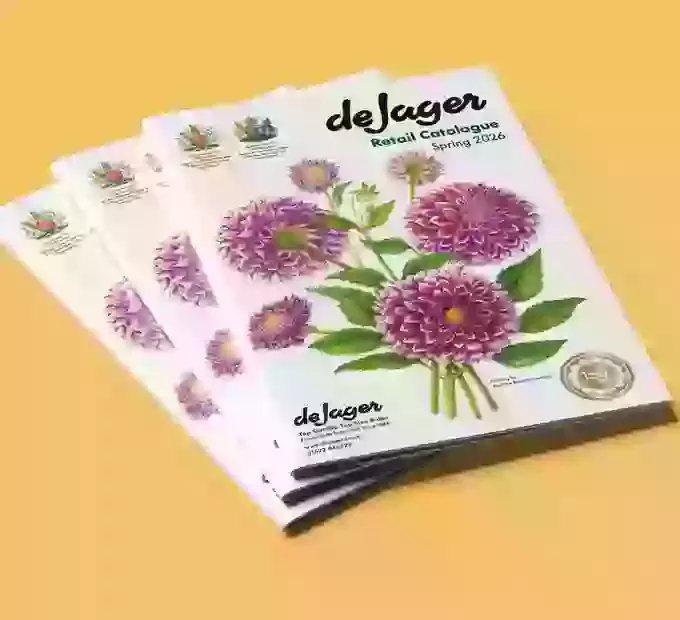 Brochures & Magazines